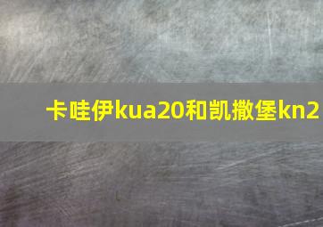 卡哇伊kua20和凯撒堡kn2