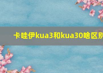 卡哇伊kua3和kua30啥区别