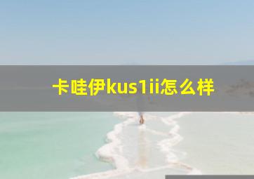 卡哇伊kus1ii怎么样