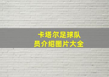 卡塔尔足球队员介绍图片大全