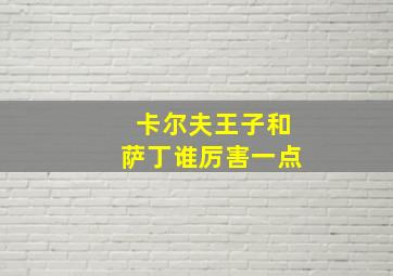 卡尔夫王子和萨丁谁厉害一点