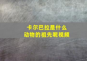 卡尔巴拉是什么动物的祖先呢视频