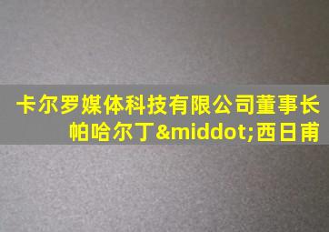 卡尔罗媒体科技有限公司董事长帕哈尔丁·西日甫