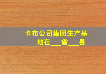 卡布公司集团生产基地在___省___县