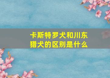 卡斯特罗犬和川东猎犬的区别是什么