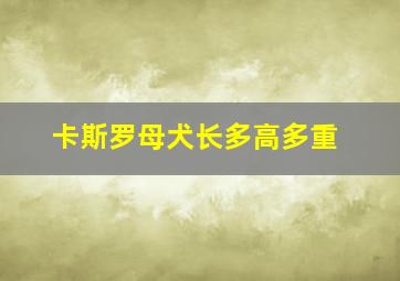 卡斯罗母犬长多高多重