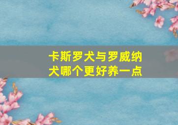 卡斯罗犬与罗威纳犬哪个更好养一点