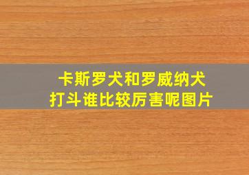 卡斯罗犬和罗威纳犬打斗谁比较厉害呢图片