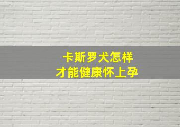 卡斯罗犬怎样才能健康怀上孕