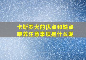 卡斯罗犬的优点和缺点喂养注意事项是什么呢