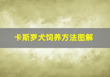 卡斯罗犬饲养方法图解