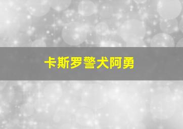 卡斯罗警犬阿勇