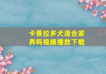 卡普拉多犬适合家养吗视频播放下载