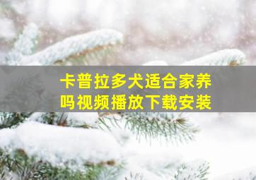 卡普拉多犬适合家养吗视频播放下载安装