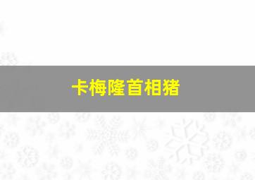 卡梅隆首相猪