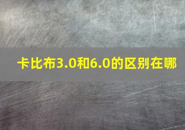 卡比布3.0和6.0的区别在哪