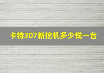 卡特307新挖机多少钱一台