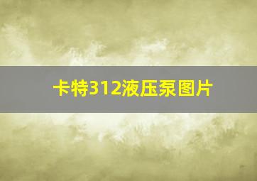 卡特312液压泵图片