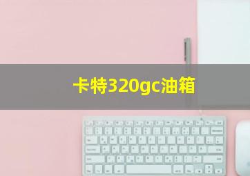 卡特320gc油箱