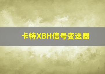 卡特XBH信号变送器