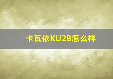 卡瓦依KU2B怎么样