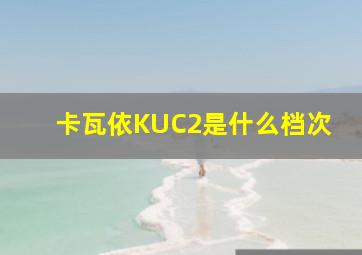 卡瓦依KUC2是什么档次