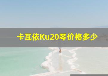 卡瓦依Ku20琴价格多少