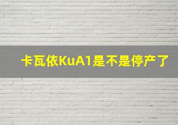 卡瓦依KuA1是不是停产了