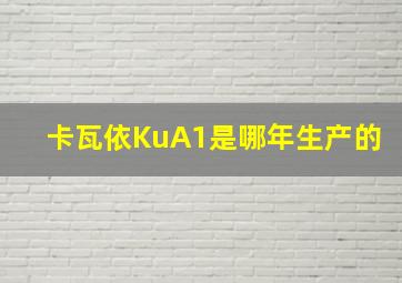 卡瓦依KuA1是哪年生产的