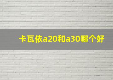 卡瓦依a20和a30哪个好