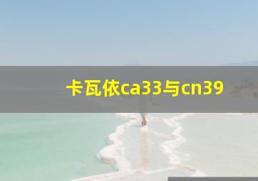 卡瓦依ca33与cn39