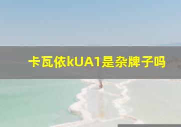 卡瓦依kUA1是杂牌子吗