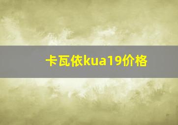 卡瓦依kua19价格