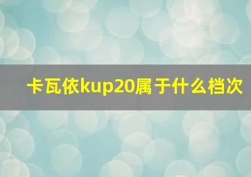 卡瓦依kup20属于什么档次