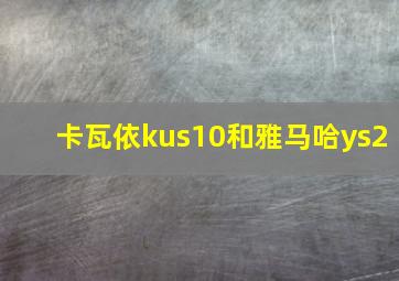 卡瓦依kus10和雅马哈ys2