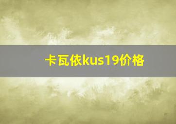 卡瓦依kus19价格