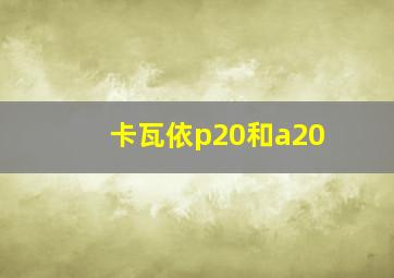 卡瓦依p20和a20