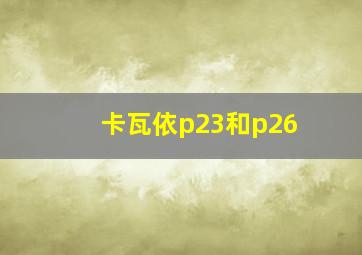 卡瓦依p23和p26