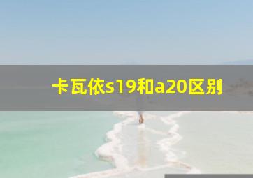 卡瓦依s19和a20区别