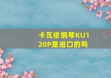 卡瓦依钢琴KU120P是进口的吗