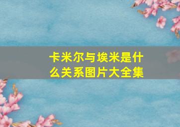 卡米尔与埃米是什么关系图片大全集