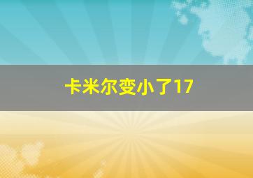 卡米尔变小了17