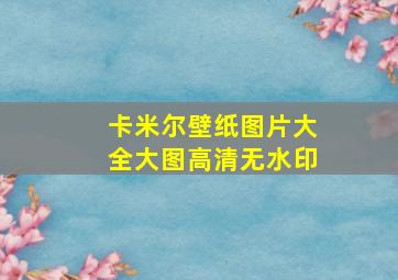 卡米尔壁纸图片大全大图高清无水印