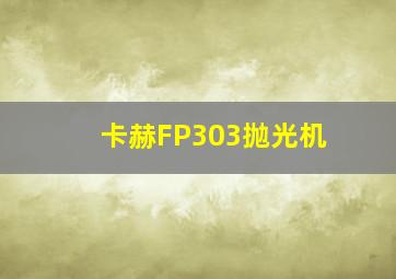 卡赫FP303抛光机