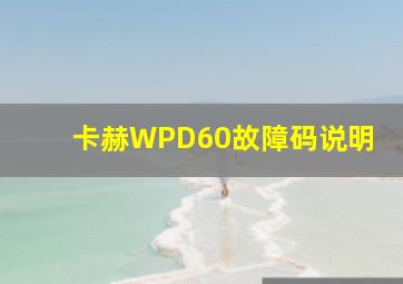 卡赫WPD60故障码说明