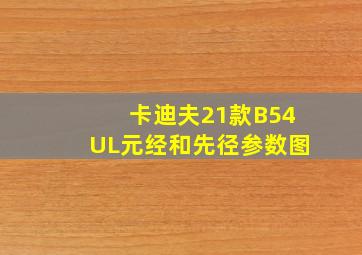 卡迪夫21款B54UL元经和先径参数图