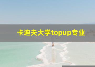 卡迪夫大学topup专业