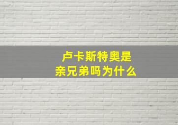 卢卡斯特奥是亲兄弟吗为什么