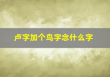 卢字加个鸟字念什么字