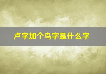 卢字加个鸟字是什么字